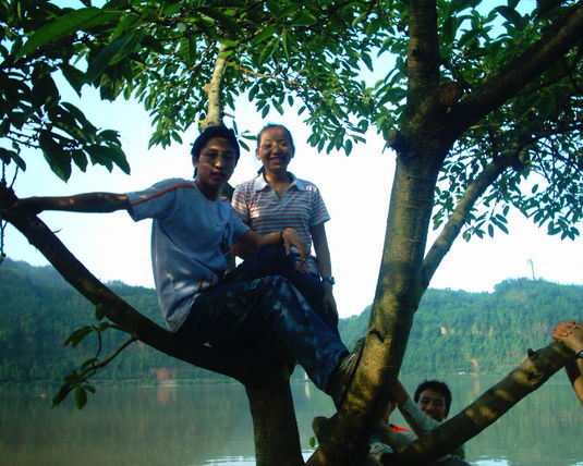 2006  (66)